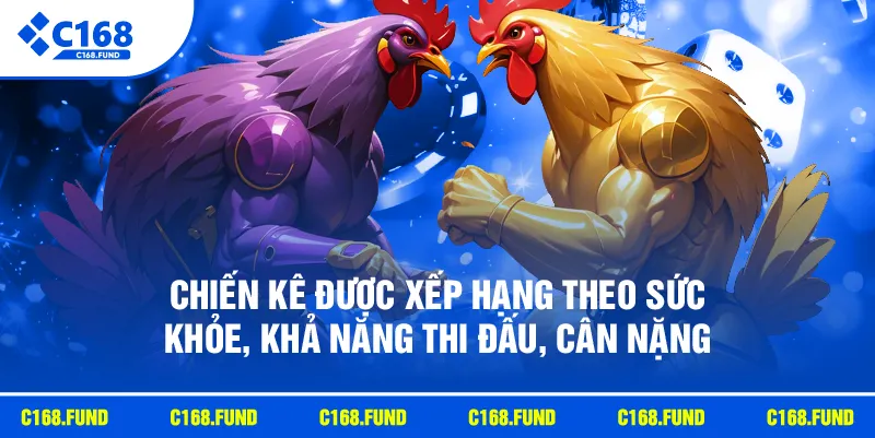 Chiến kê được xếp hạng theo sức khỏe, khả năng thi đấu, cân nặng