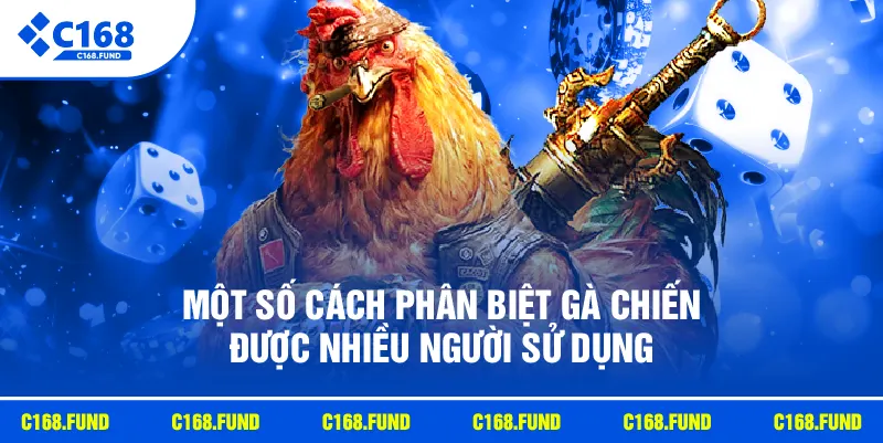 Một số cách phân biệt gà chiến được nhiều người sử dụng